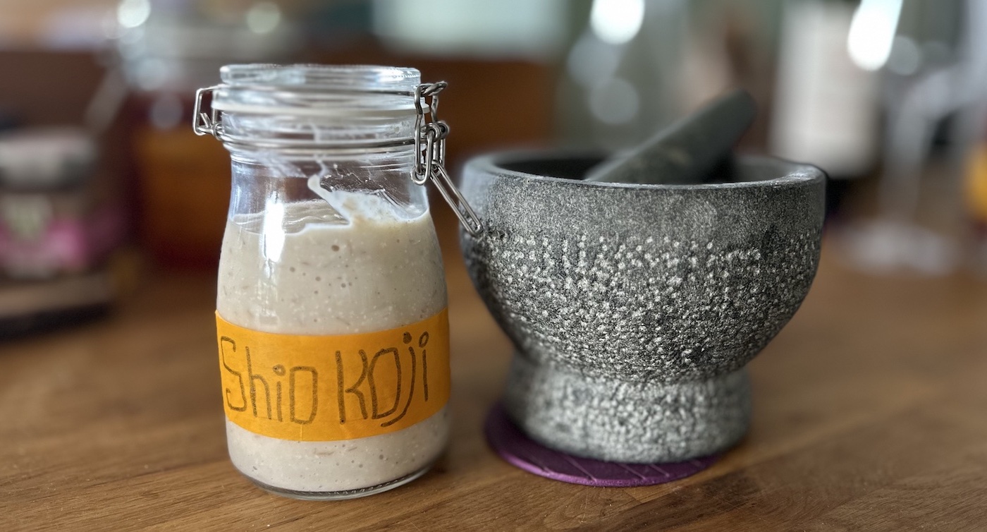 Shio Koji fermenteren